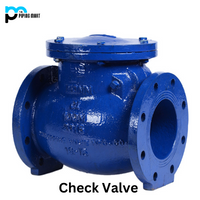 check valve