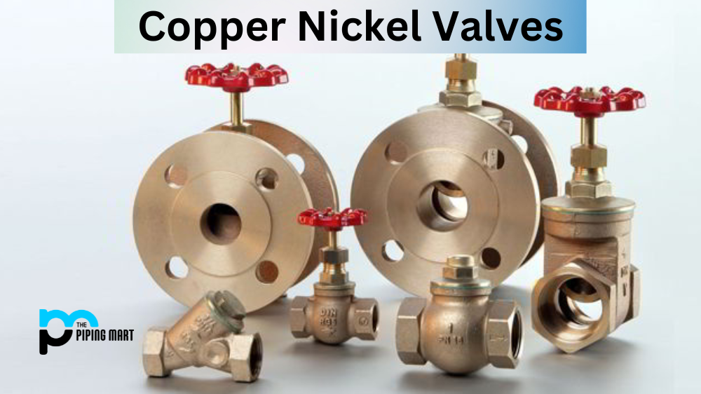 Copper Nickel Valve