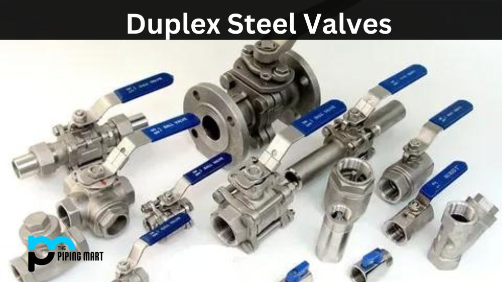 Duplex Steel Valves