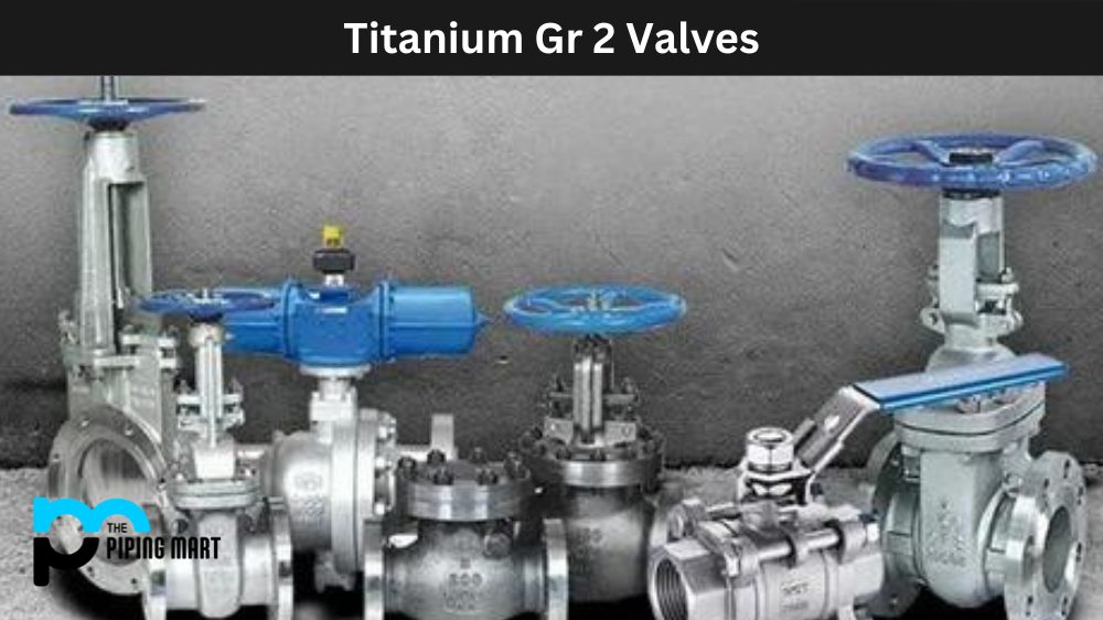 Titanium Gr 2 Valves