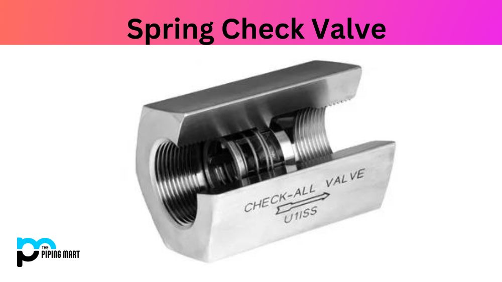 Spring Check Valve